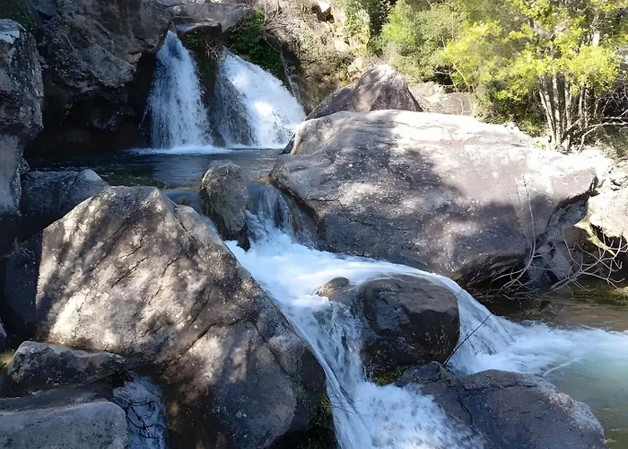 Les Coquelicots Saint Sebastien d'Aigrefeuille